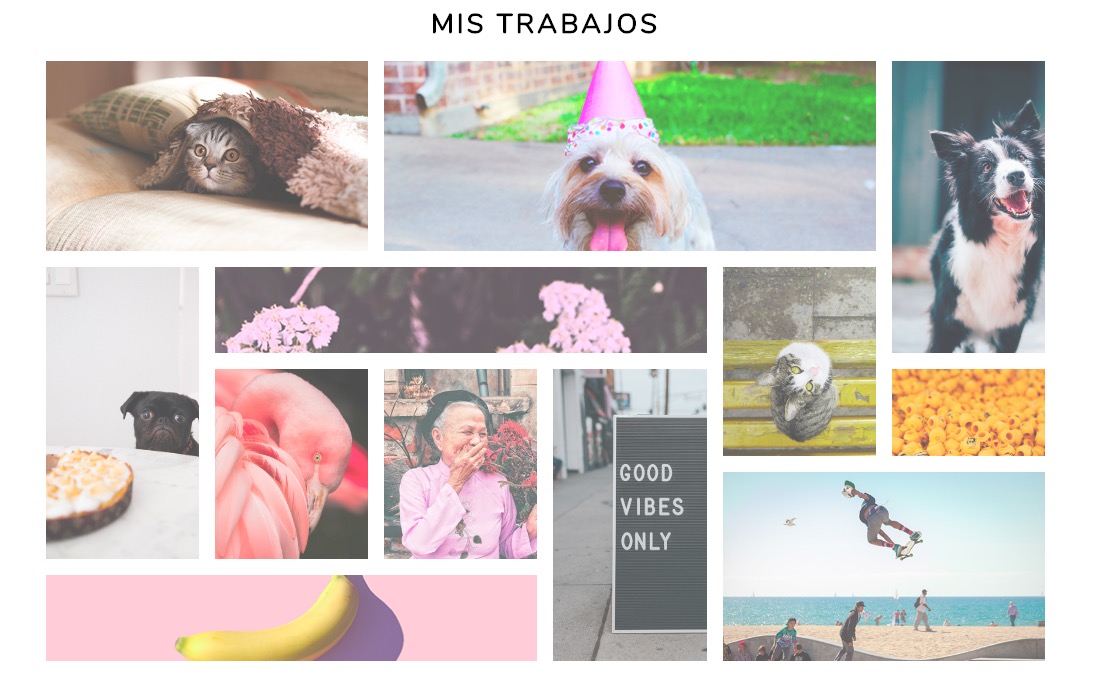 Previa actividad 23-7